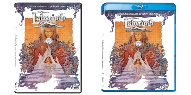 Labyrinth in DVD e Blu-Ray Labyrinth: Dove Tutto È Possibile - Edizione Speciale 30° Anniversario