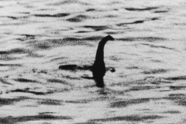 Il mostro di Loch Ness è una creatura avvolta dal mistero La prima fotografia del mostro di Loch Ness