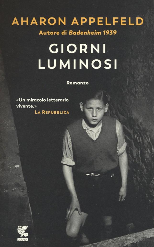 Giorni luminosi La copertina di Giorni luminosi