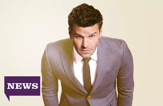 Cosa non sapete di David Boreanaz alias Seeley Booth?