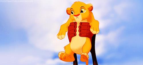 Simba Simba presentato al branco