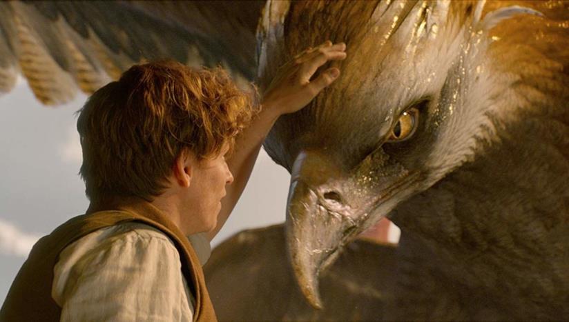 Al Museo di Storia Naturale di Londra una mostra dedicata agli Animali Fantastici di Harry Potter Animali Fantastici