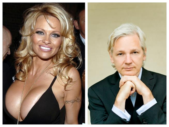 Pamela Anderson e l'amore per Julian Assange Primo piano di Pamela Anderson e Julian Assange