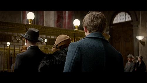Animali Fantastici e Dove Trovarli Il mago Newt in Animali Fantastici e Dove Trovarli