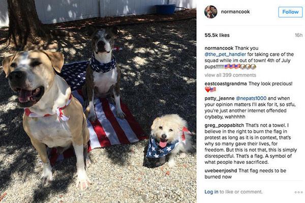 Kaley Cuoco: cani sulla bandiera americana I cani di Kaley Cuoco dissacrano la bandiera americana