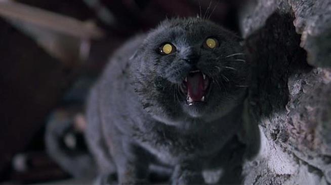 Cominciate le riprese di Pet Sematary Una scena di Cimitero Vivente del 1989