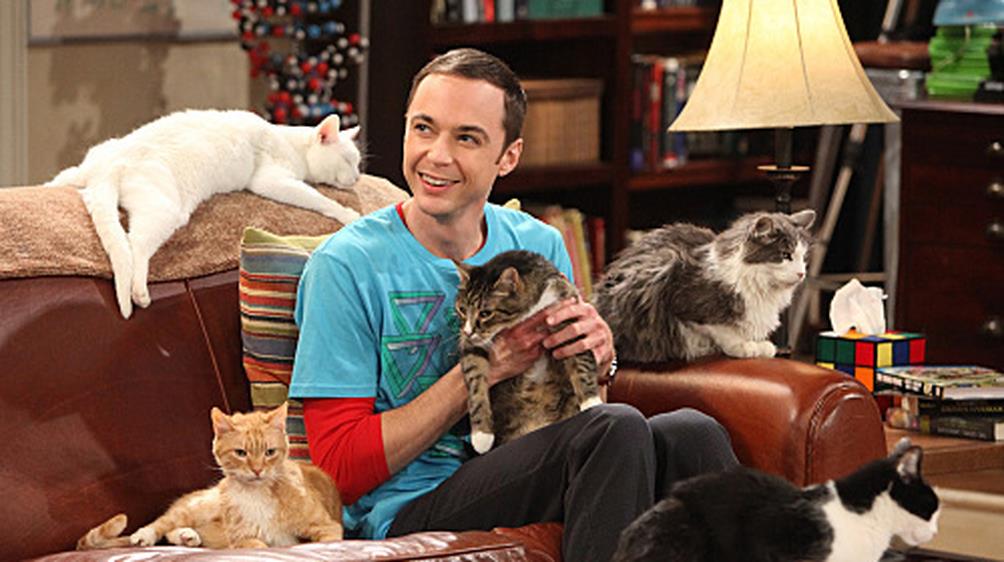 The Big Bang Theory 04x03