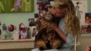 Lord Tubbington Tubbington e Brittany in Glee