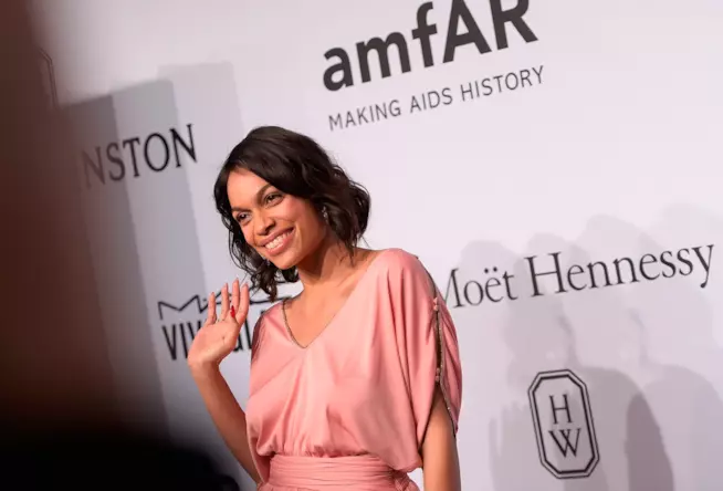 Rosario Dawson è stata arrestata durante una manifestazione Primo piano di Rosario Dawson