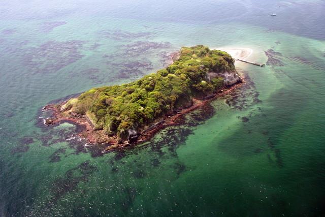 Sarushima L'isola di Sarushima