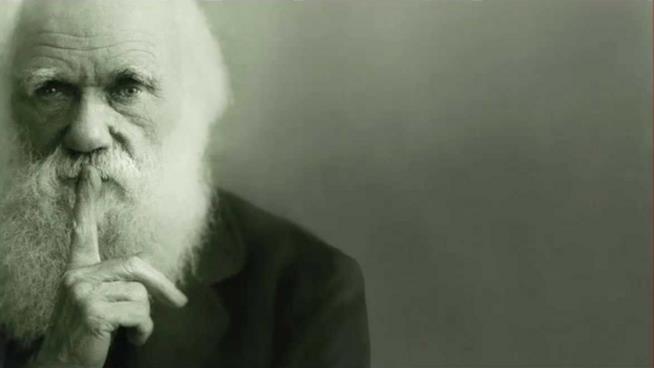 Darwin Day: gli eventi italiani per celebrare la nascita di Charles Darwin Primo piano di Charles Darwin in uno scatto elaborato dal sito Hacker Chick