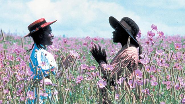 La trama e il significato de Il colore viola Nettie e Celie bambine ne Il colore viola