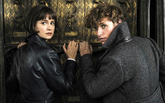 Nuove foto di Animali Fantastici 2 Newt e Tina in una foto di Animali Fantastici 2