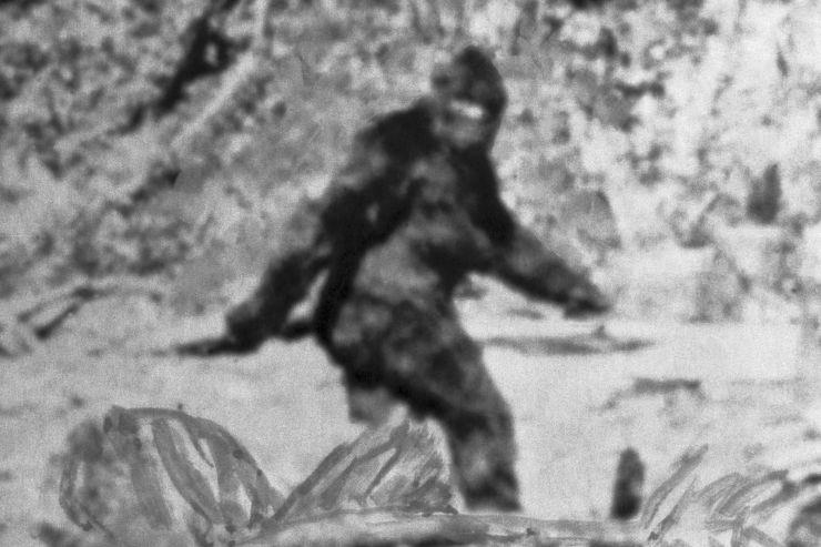 L'FBI pubblica alcuni documenti ufficiali sul Bigfoot Vecchia foto di un possibile avvistamento scattata in California