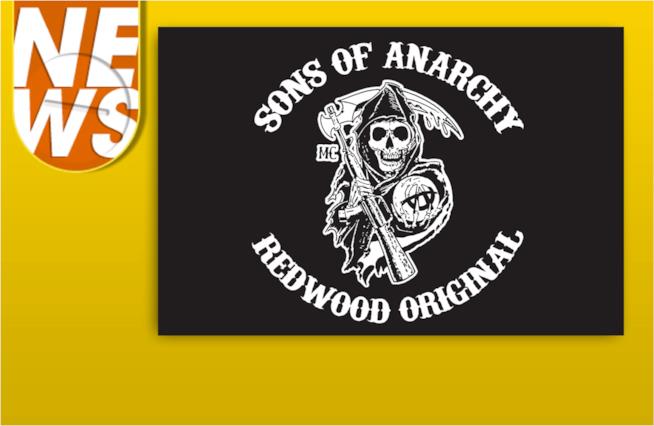 Games of Anarchy