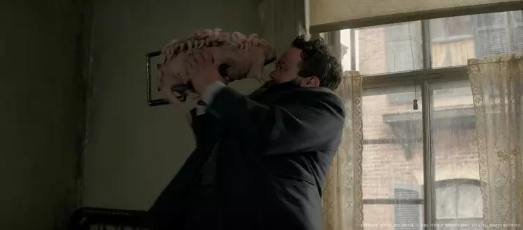 Il Murtlap mentre attacca Jacob Il Murtlap è una specie di porcospino calvo