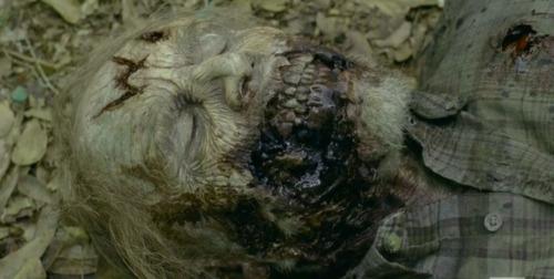 5 cose da aspettarci dal finale di TWD5 - 2