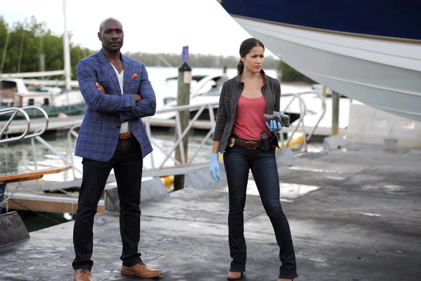 Due nuovi ingressi sono pronti a far capolino nel cast di Rosewood 2 Beaumont Rosewood e Annalise Villa in azione nella serie TV Rosewood