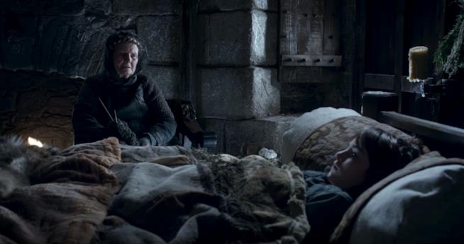 I ragni di ghiaccio di cui parlava Nan arriveranno in Game of Thrones 8? L'anziana Nan racconta a Bran dei ragni di ghiaccio nella prima stagione di Game of Thrones
