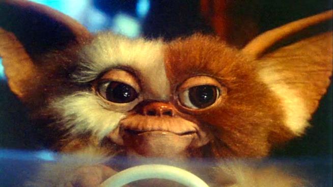 La serie-prequel animata di Gremlins è in arrivo Un primo piano del mogwai Gizmo, tratto dal primo Gremlins