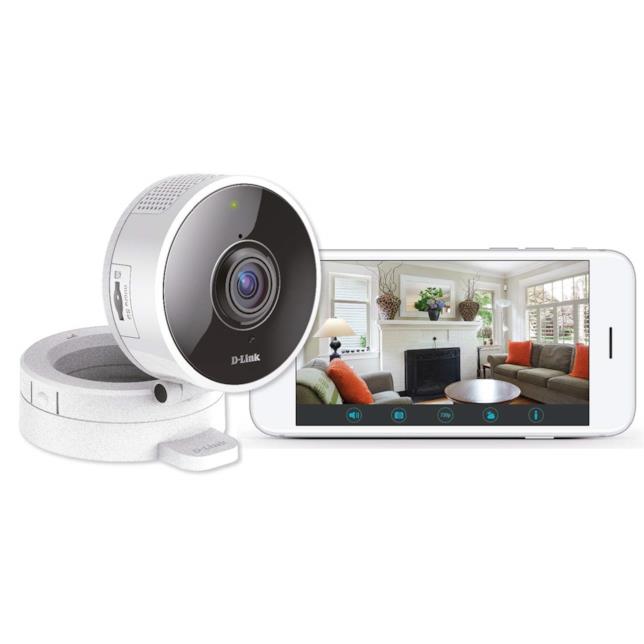 La telecamera panoramica D-Link DCS-8100LH Immagine stampa della telecamera panoramica