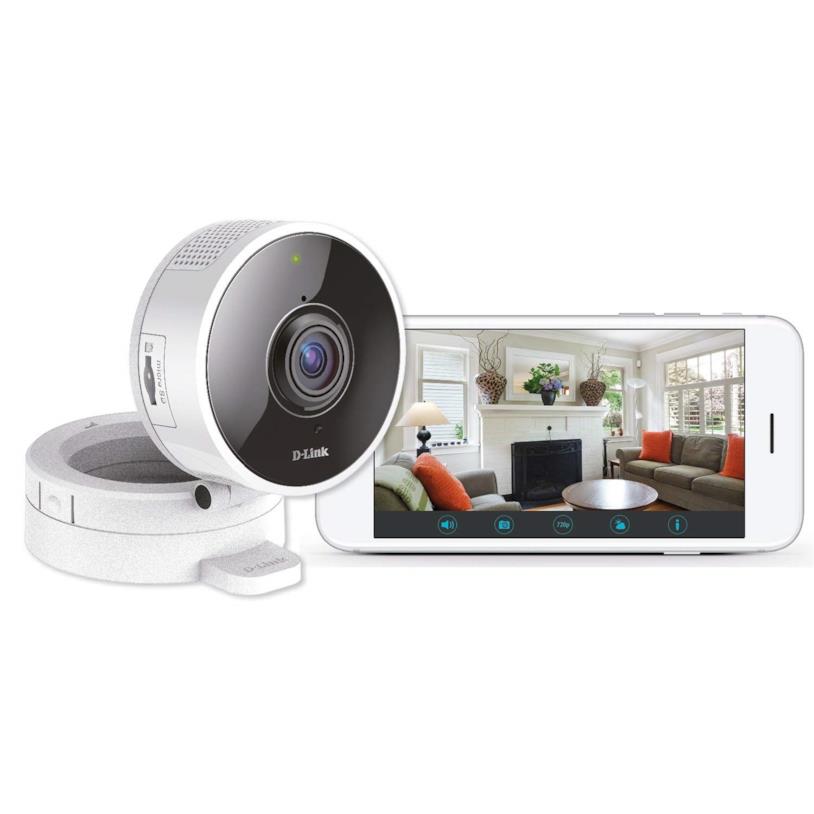 La telecamera panoramica D-Link DCS-8100LH Immagine stampa della telecamera panoramica