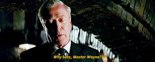 Batman Begins Una GIF di Alfred in Batman Begins