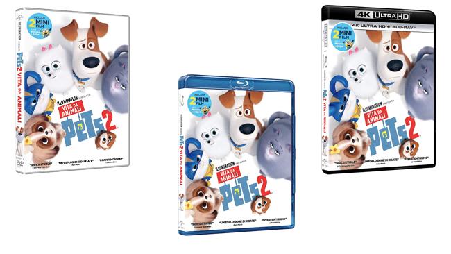 Pets 2 - Vita da animali, il film in DVD, Blu-ray e 4K ultra HD Pets 2 - Vita da animali, il film nei formati DVD, Blu-ray e 4K ultra HD