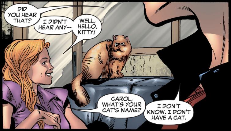 Chewie nell'appartamento di Carol Danvers Il gatto nell'appartamento di Carol Danvers