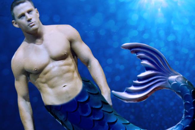Channing Tatum in un fotomontaggio ironico nelle vesti di Sirenetto Channing Tatum sarà un Sirenetto nel remake di Splash una Sirena a Manhattan