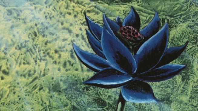 Magic: The Gathering L'illustrazione ufficiale del Black Lotus di Magic: The Gathering
