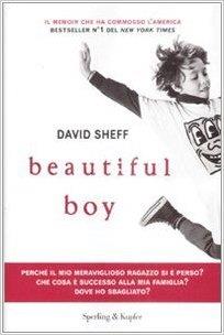 Beautiful Boy di David Sheff Copertina del libro di David Sheff Beautiful Boy