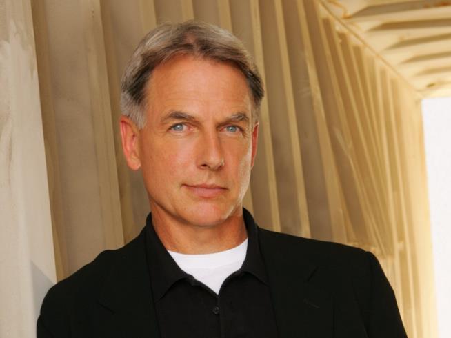 Mark Harmon, interprete di Gibbs in N.C.I.S., racconta e spiega il successo della serie Mark Harmon in uno scatto promozionale di N.C.I.S.