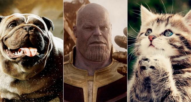 Thanos ha ucciso anche metà degli animali e delle piante nell'universo Lockjaw, Thanos e un gattino che prega