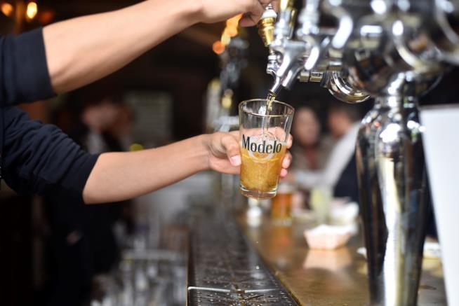 A causa del cambiamento climatico, la birra alla spina potrebbe diventare un bene raro e di lusso. Tra qualche anno gli effetti del cambiamento climatico potrebbero colpire la produzione di birra.