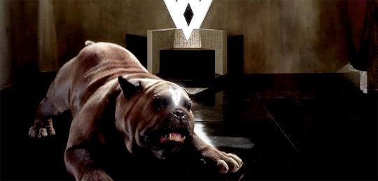 Alla scoperta di Lockjaw, l'enorme cane teleporta di Marvel's Inhumans Lockjaw in versione cartone animato
