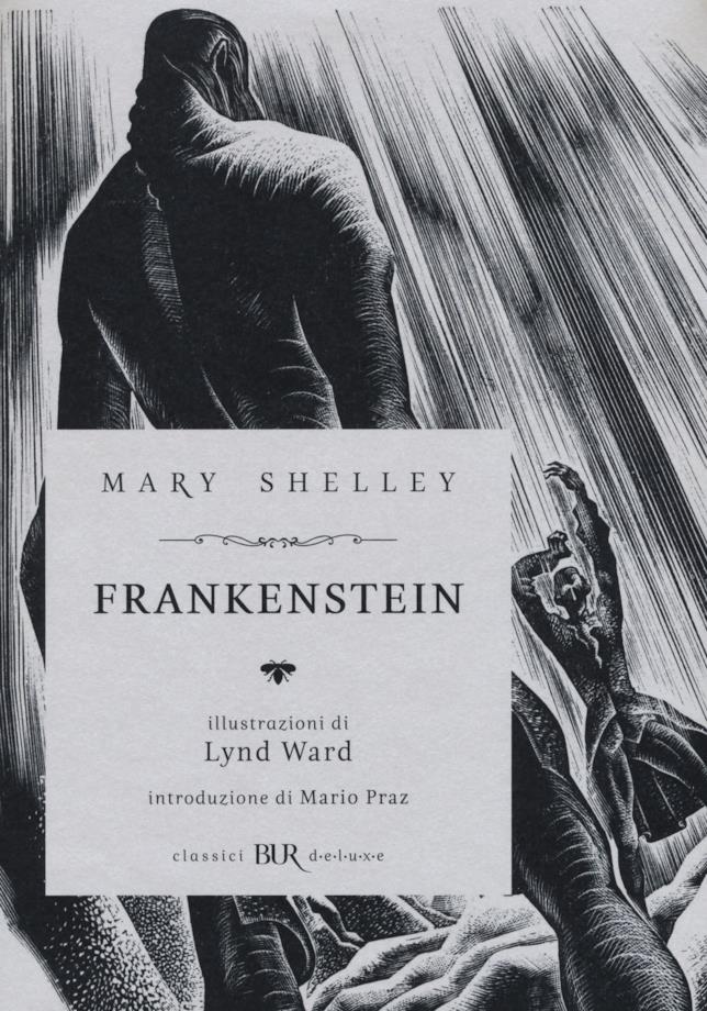 Mary Shelley ha scritto il romanzo horror Frankenstein Frankenstein è stato scritto da Mary Shelley
