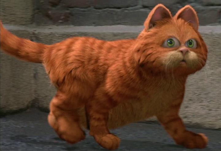 Garfield il gatto è stato protagonista di due film Il gatto Garfield mentre cammina