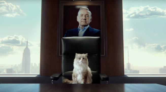 Kevin Spacey è un gatto nel trailer di Nine Lives Kevin Spacey e un gatto