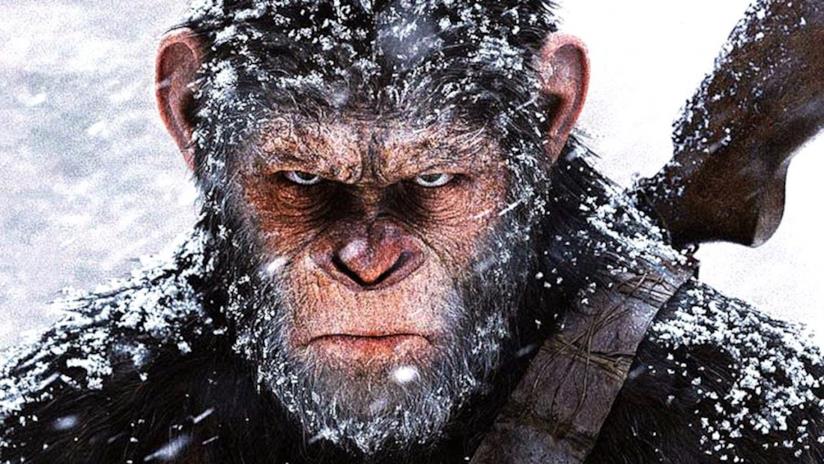 La saga del pianeta delle scimmie continua con un nuovo film diretto da Wes Ball Lo scimpanzé Cesare sotto la neve con una espressione arrabbiata