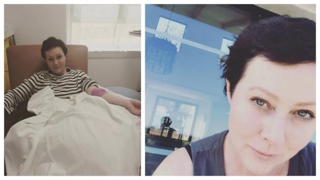 Shannen Doherty è guarita dal cancro Alcune immagini di Shannen Doherty