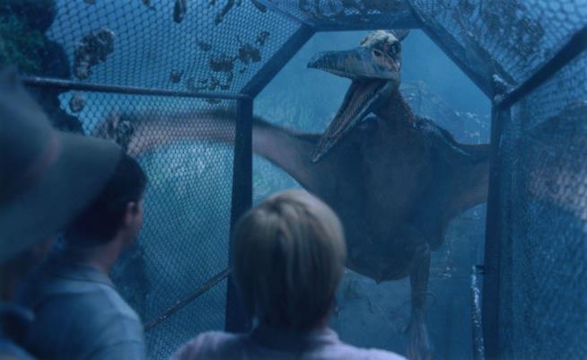 Jurassic Park 3, il terzo capitolo diretto da Joe Johnston Una scena di Jurassic Park 3