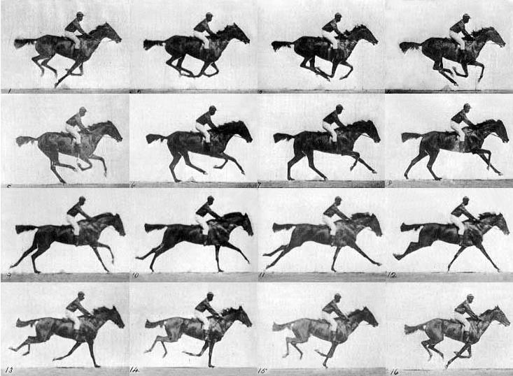 The Horse in motion La celebre foto di Muybridge
