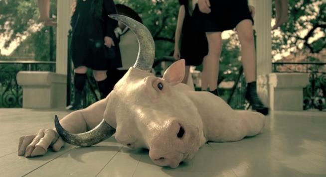 Le 7 scene di sesso più “estreme” di American Horror Story