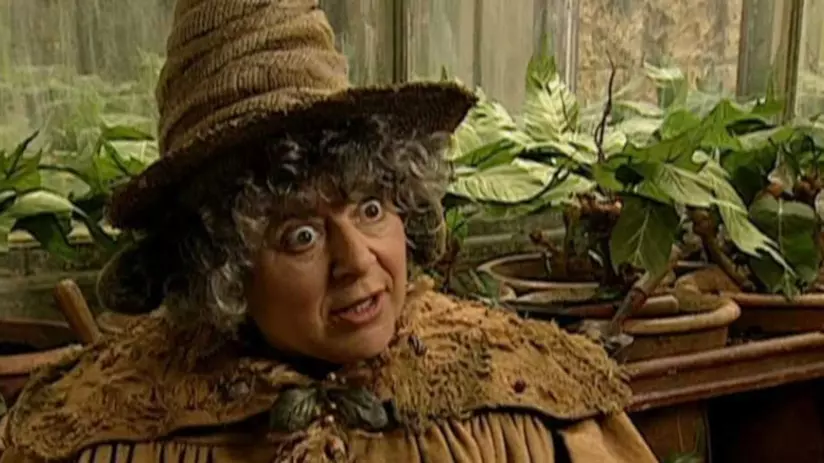 La Professoressa Sprout di Harry Potter nei guai, affitta la sua casa a trafficanti di droga Primo piano di Miriam Margolyes