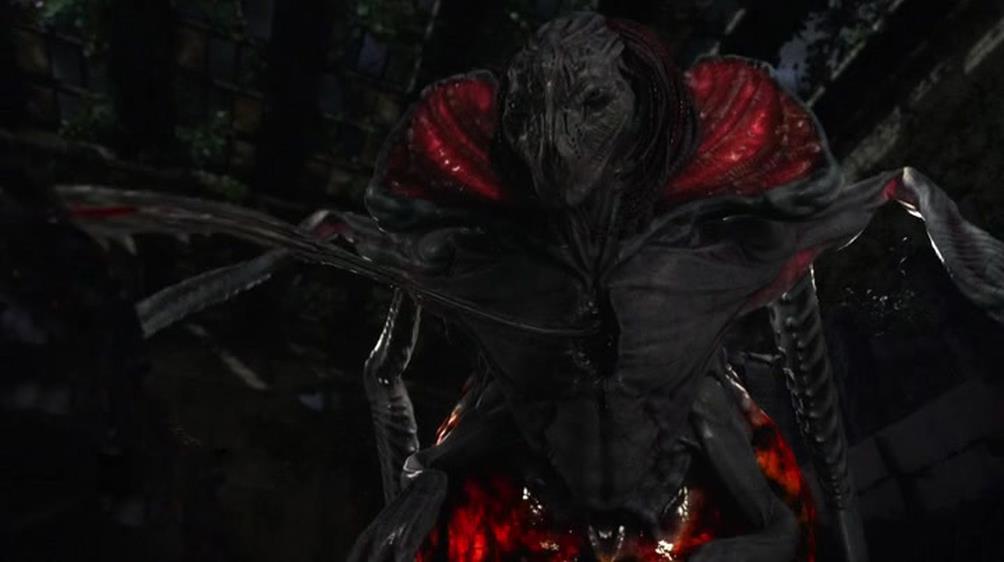 5x10 Reborn