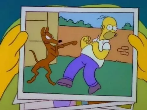 Homer e Piccolo aiutante di Babbo Natale Piccolo aiutante di Babbo Natale e Homer