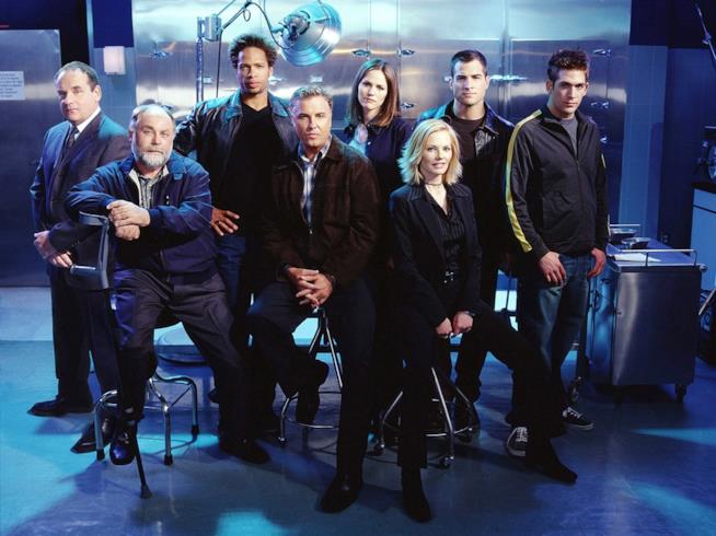 Saresti in grado di lavorare per CSI?