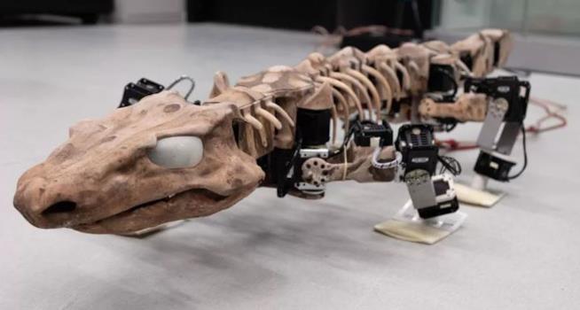 Lucertolone robot permette agli scienziati di studiare la camminata di un animale estinto Scatto ravvicinato dell'OroBOT