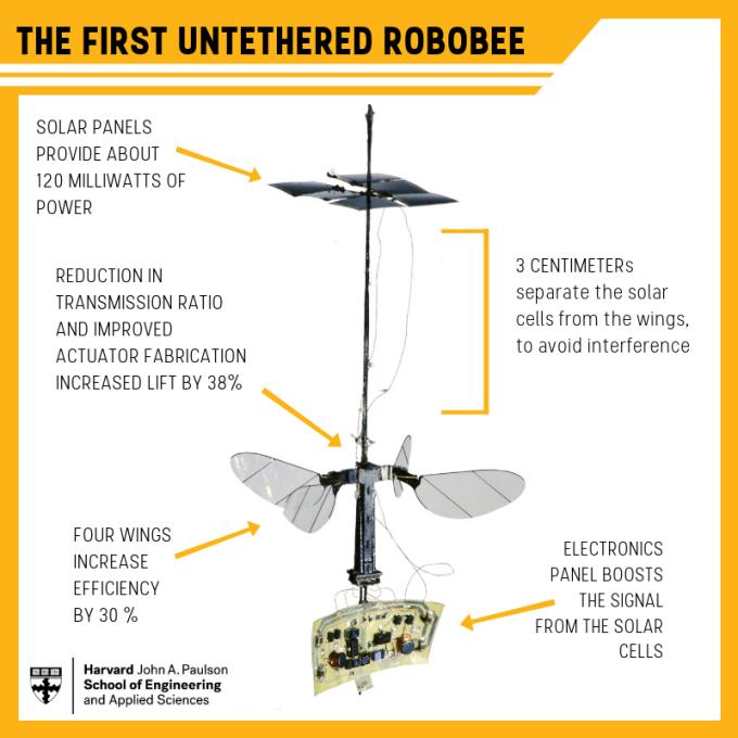 Come è fatto il drone Uno schema di tutte le componenti del drone